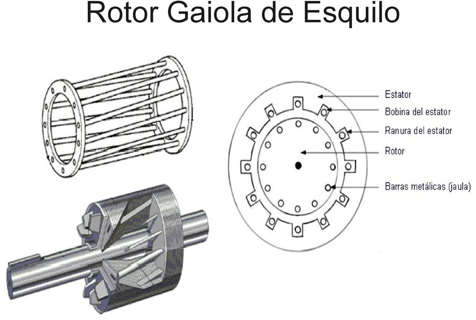 Esquilo