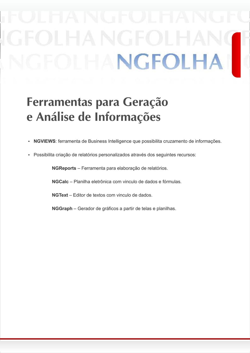 Possibilita criação de relatórios personalizados através dos seguintes recursos: NGReports Ferramenta para elaboração