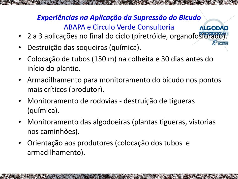 Armadilhamento para monitoramento do bicudo nos pontos mais críticos (produtor).