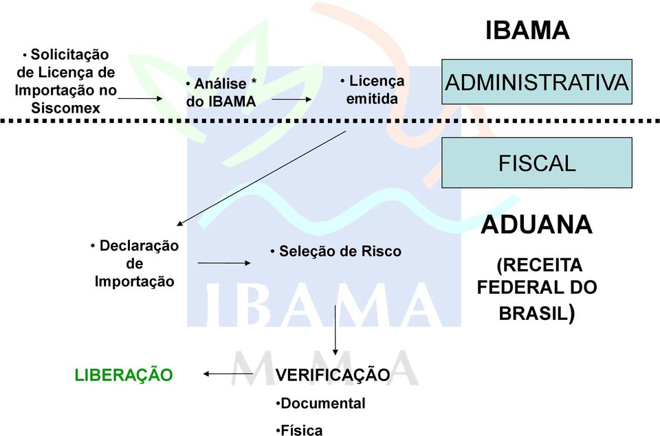 Declaração de Importação Seleção de Risco ADUANA (RECEITA