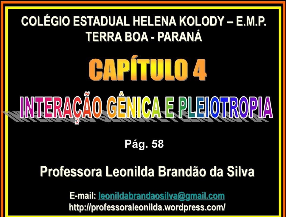 58 Professora Leonilda Brandão da Silva