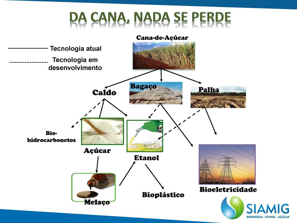 Bagaço Palha Biohidrocarbonetos