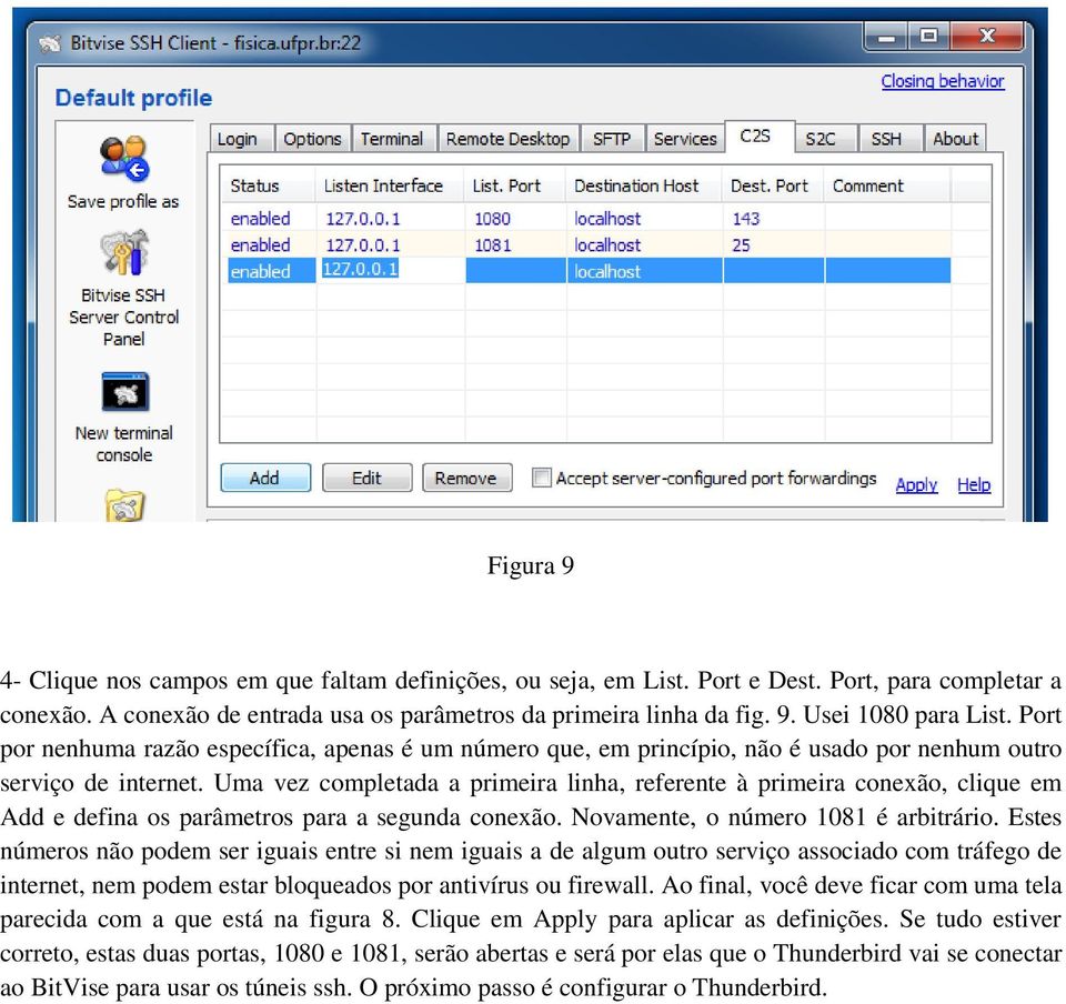 Uma vez completada a primeira linha, referente à primeira conexão, clique em Add e defina os parâmetros para a segunda conexão. Novamente, o número 1081 é arbitrário.