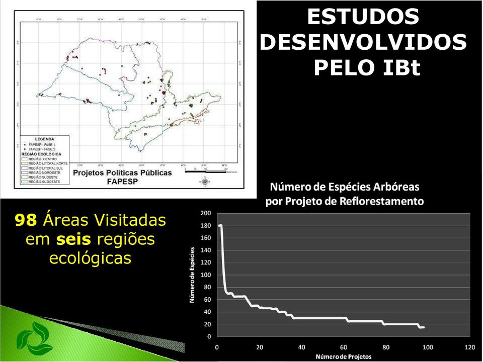 ecológicas ESTUDOS