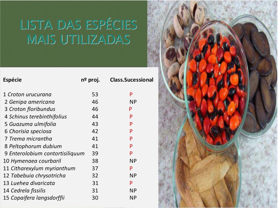 Guazuma ulmifolia 43 P 6 Chorisia speciosa 42 P 7 Trema micrantha 41 P 8 Peltophorum dubium 41 P 9 Enterolobium