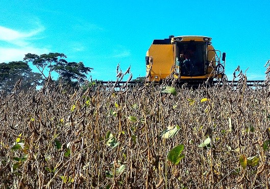 Dados: Bloomberg Fôlego Janeiro chuvoso traz expectativas mais positivas aos produtores goianos, que buscam superar suas médias históricas no ciclo atual Marcada por um início com clima problemático