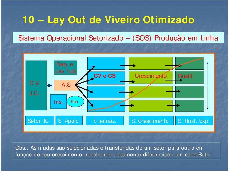 enraiz. S. Crescimento S. Rust. Exp. Obs.