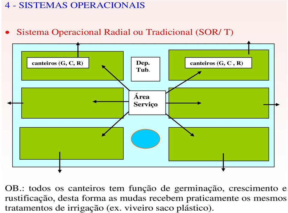 : todos os canteiros tem função de germinação, crescimento e rustificação, desta