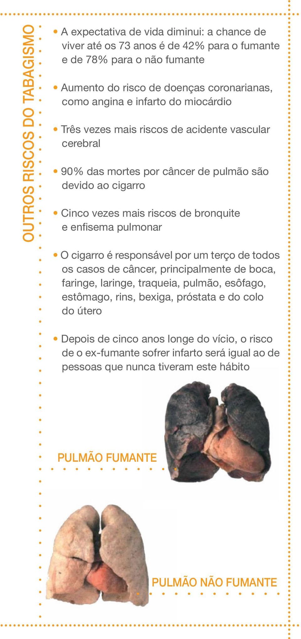 enfisema pulmonar O cigarro é responsável por um terço de todos os casos de câncer, principalmente de boca, faringe, laringe, traqueia, pulmão, esôfago, estômago, rins, bexiga,