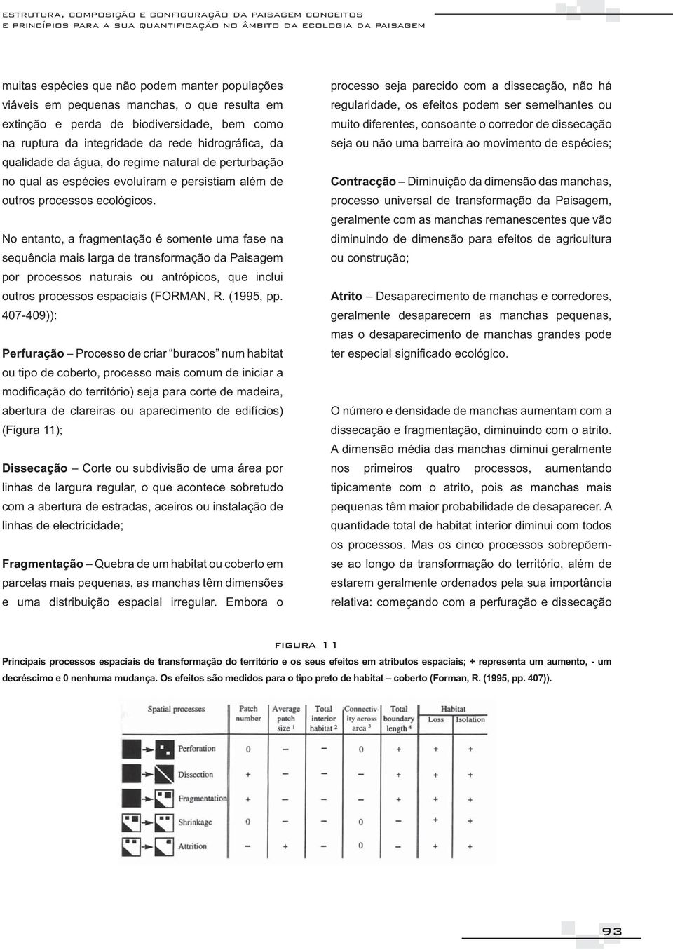 espaciais de transformação do território e os seus efeitos em atributos espaciais; + representa um aumento, - um