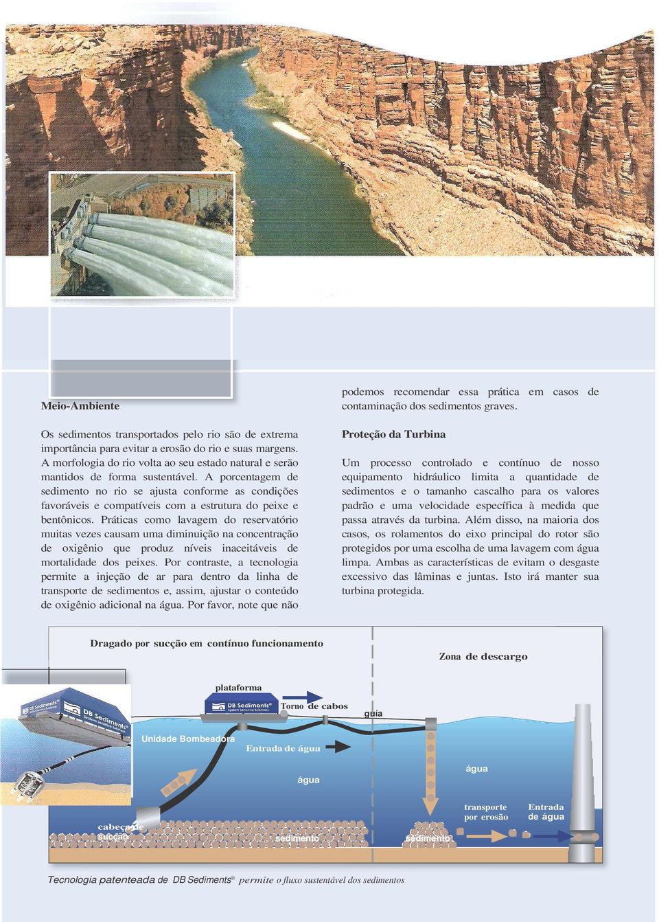 A porcentagem de sedimento no rio se ajusta conforme as condições favoráveis e compatíveis com a estrutura do peixe e bentônicos.