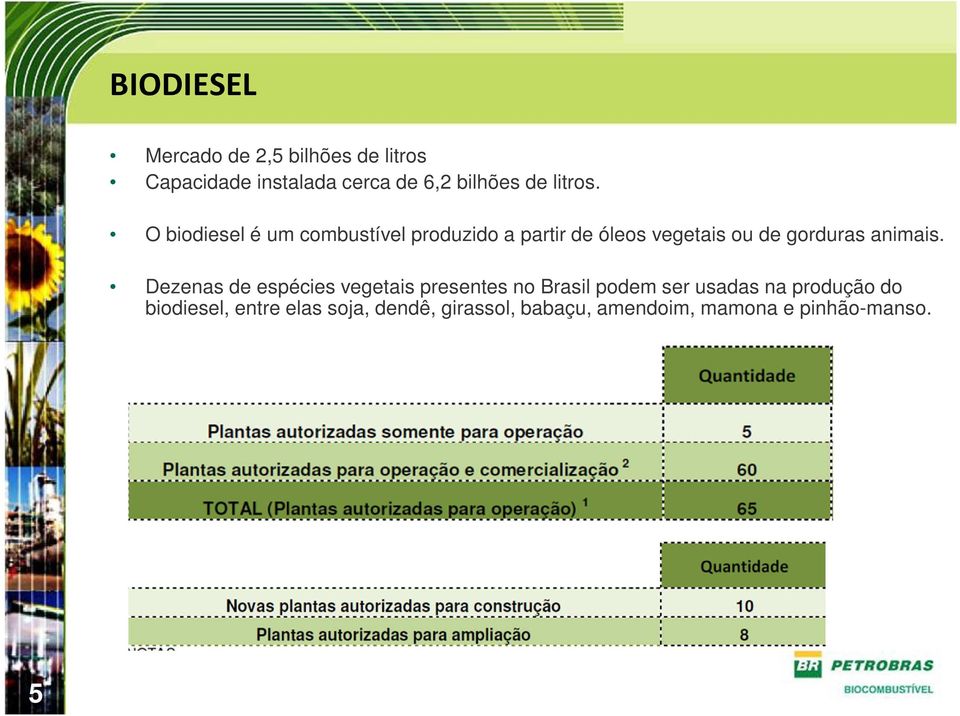 O biodiesel é um combustível produzido a partir de óleos vegetais ou de gorduras animais.