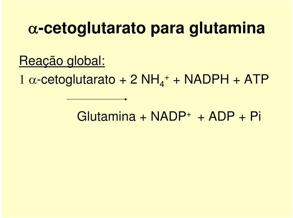 -cetoglutarato + 2 NH 4 + +