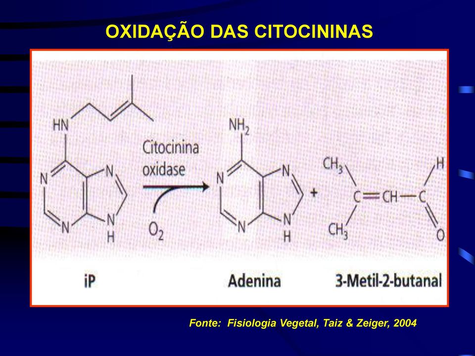 Fonte: Fisiologia