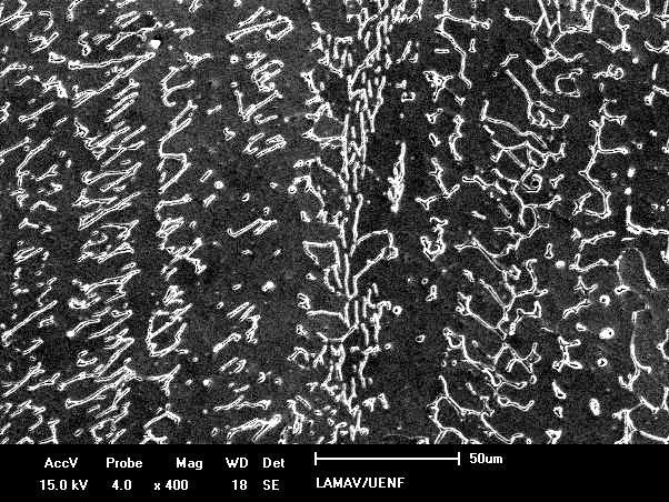 indicados pelos pontos na micrografia da C-ZF.