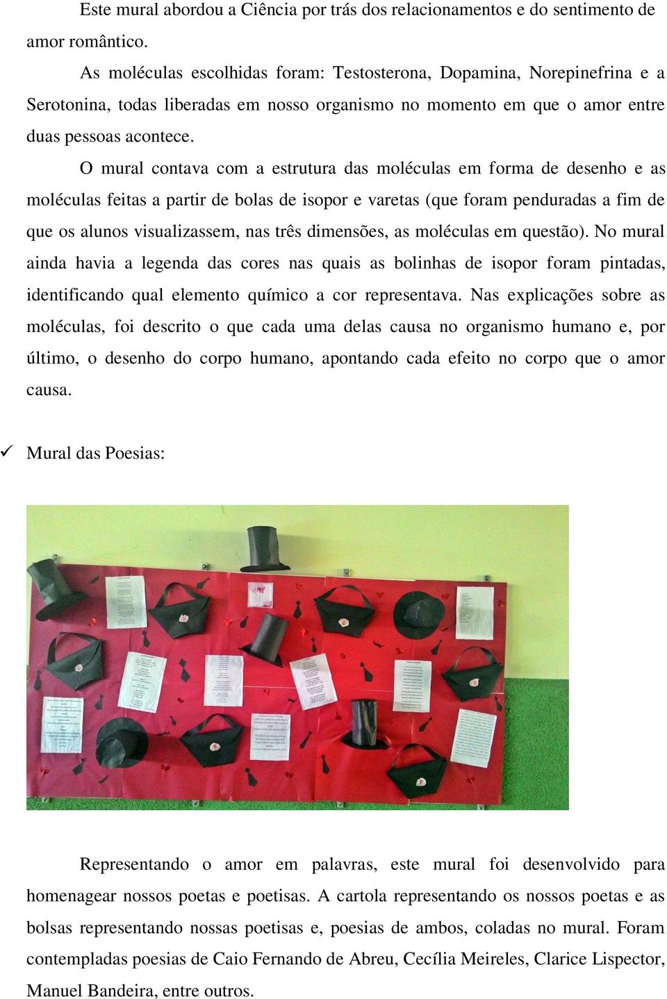 O mural contava com a estrutura das moléculas em forma de desenho e as moléculas feitas a partir de bolas de isopor e varetas (que foram penduradas a fim de que os alunos visualizassem, nas três