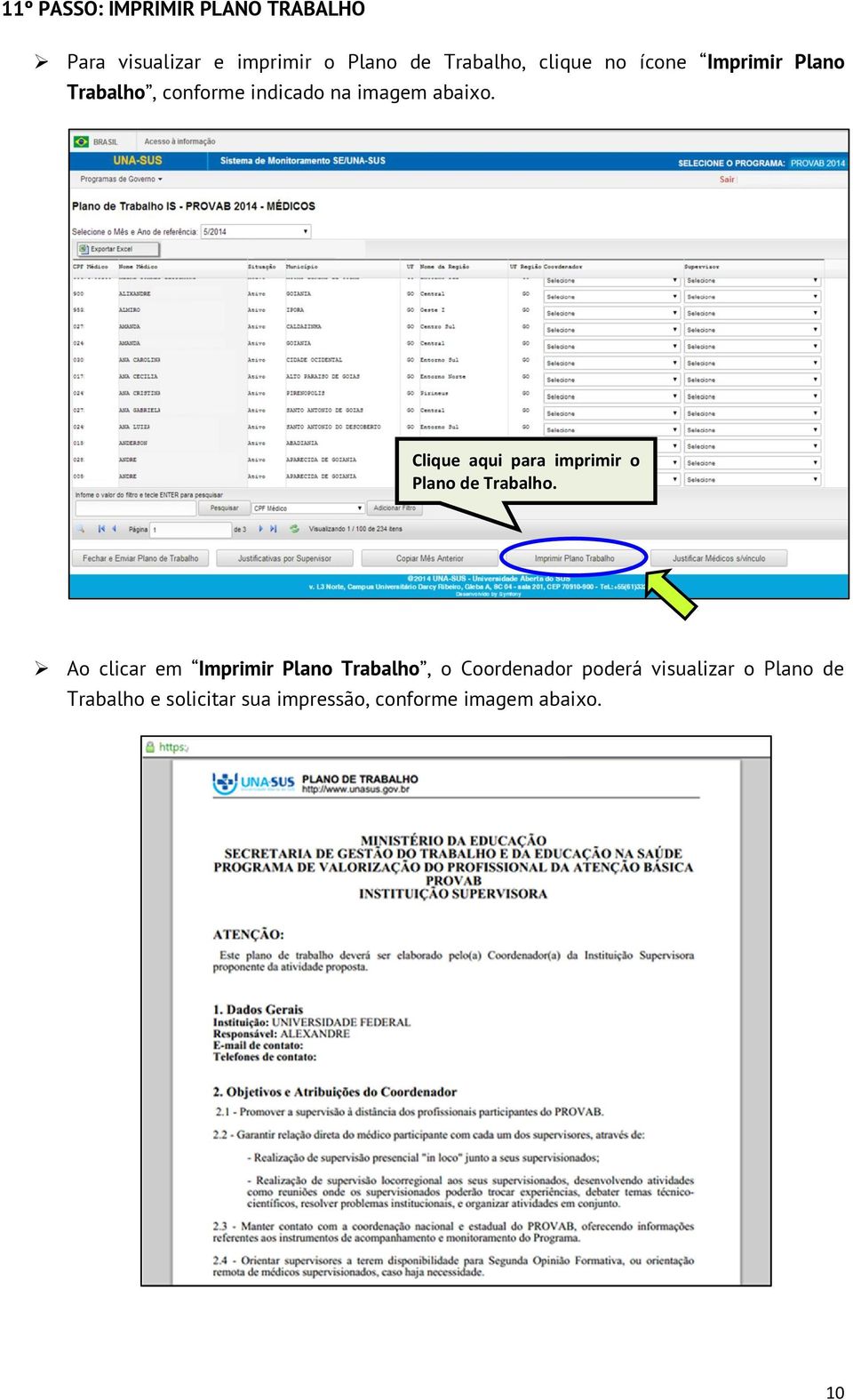 Clique aqui para imprimir o Plano de Trabalho.