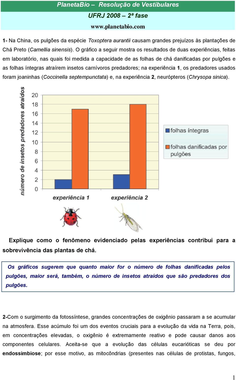 insetos carnívoros predadores; na experiência 1, os predadores usados foram joaninhas (Coccinella septempunctata) e, na experiência 2, neurópteros (Chrysopa sinica).
