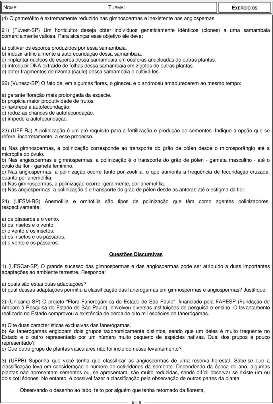 Para alcançar esse objetivo ele deve: a) cultivar os esporos produzidos por essa samambaia. b) induzir artificialmente a autofecundação dessa samambaia.