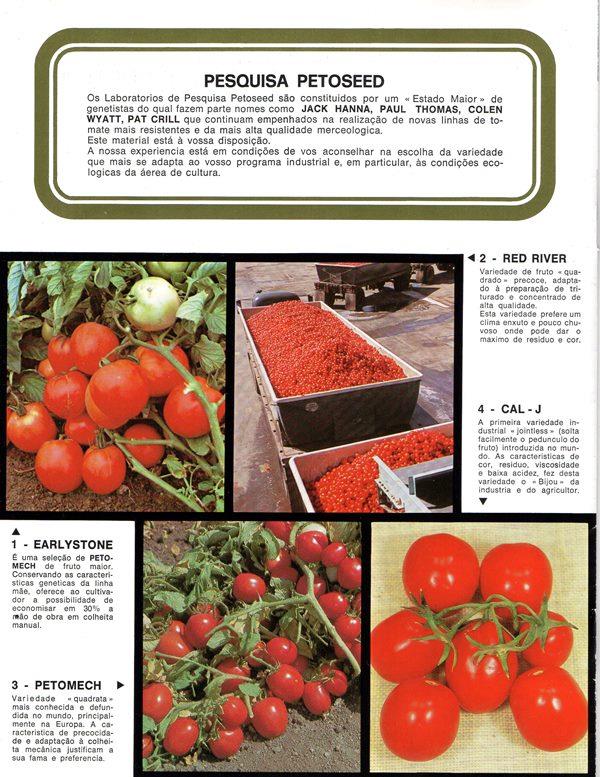 Introdução de cultivares californianas de tomate industrial no estado de São Paulo, década de 1970 Catálogo da Petoseed onde aparecem as