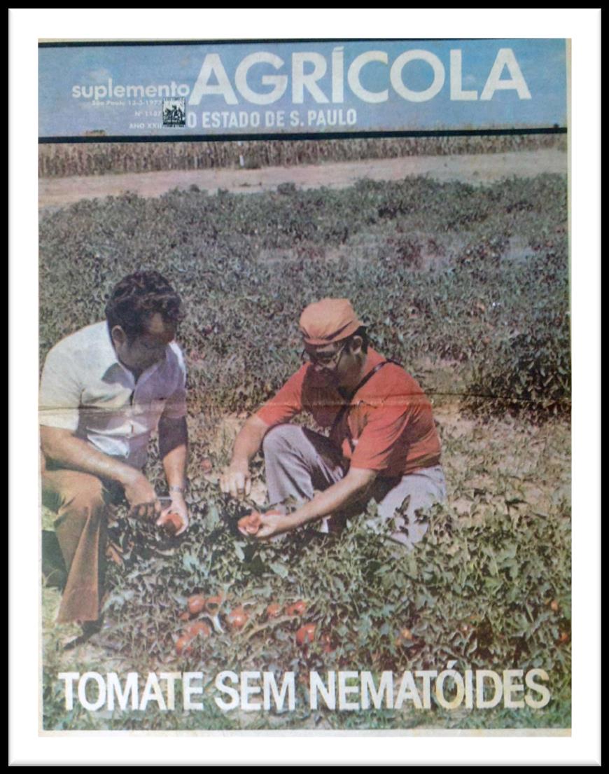 Ciclos do setor agroindustrial de tomate no Brasil Luiz Jorge da Gama Wanderley (IPA), à espuerda e Cyro
