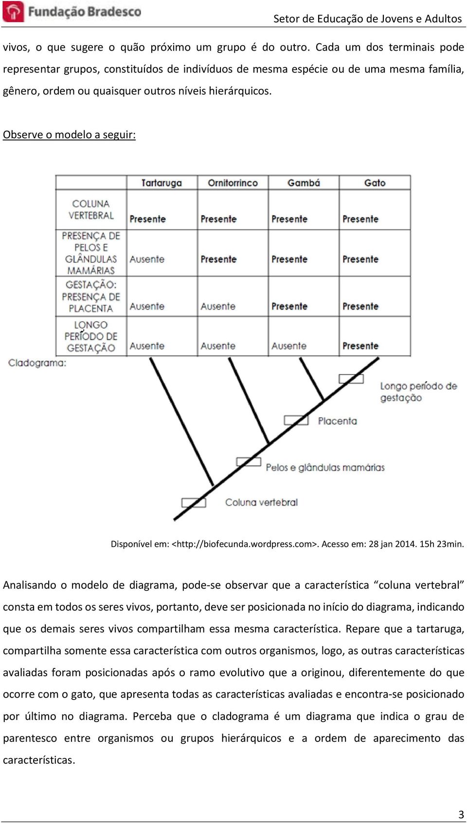 Observe o modelo a seguir: Disponível em: <http://biofecunda.wordpress.com>. Acesso em: 28 jan 2014. 15h 23min.