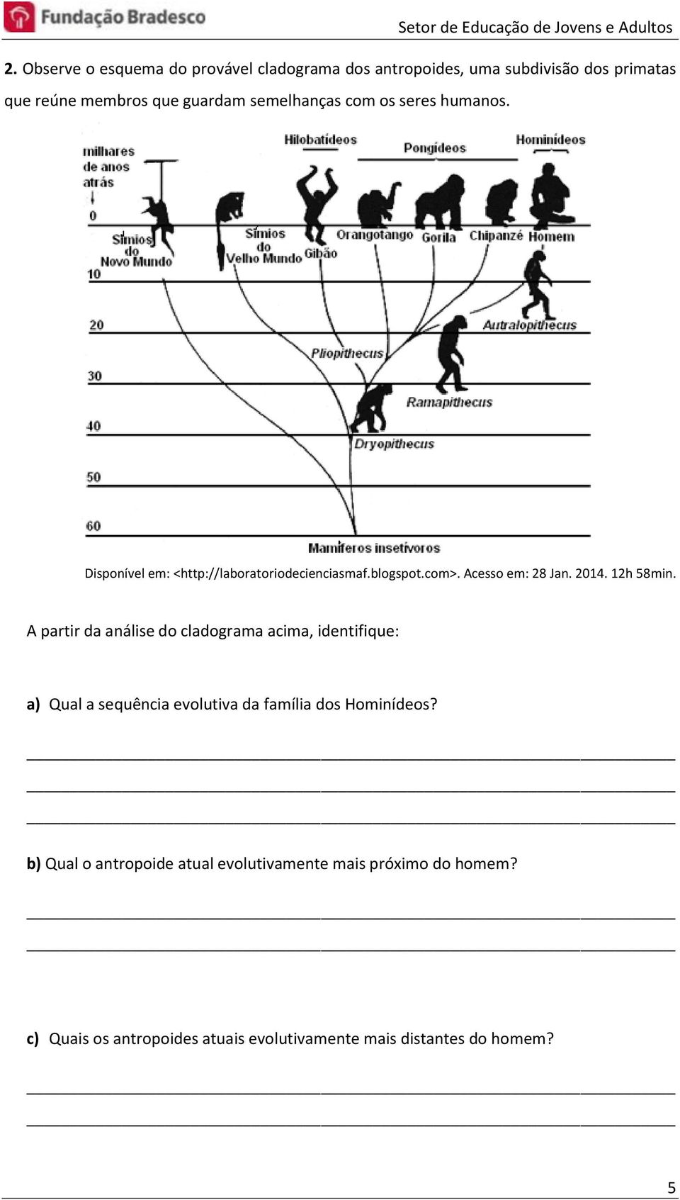 12h 58min. A partir da análise do cladograma acima, identifique: a) Qual a sequência evolutiva da família dos Hominídeos?