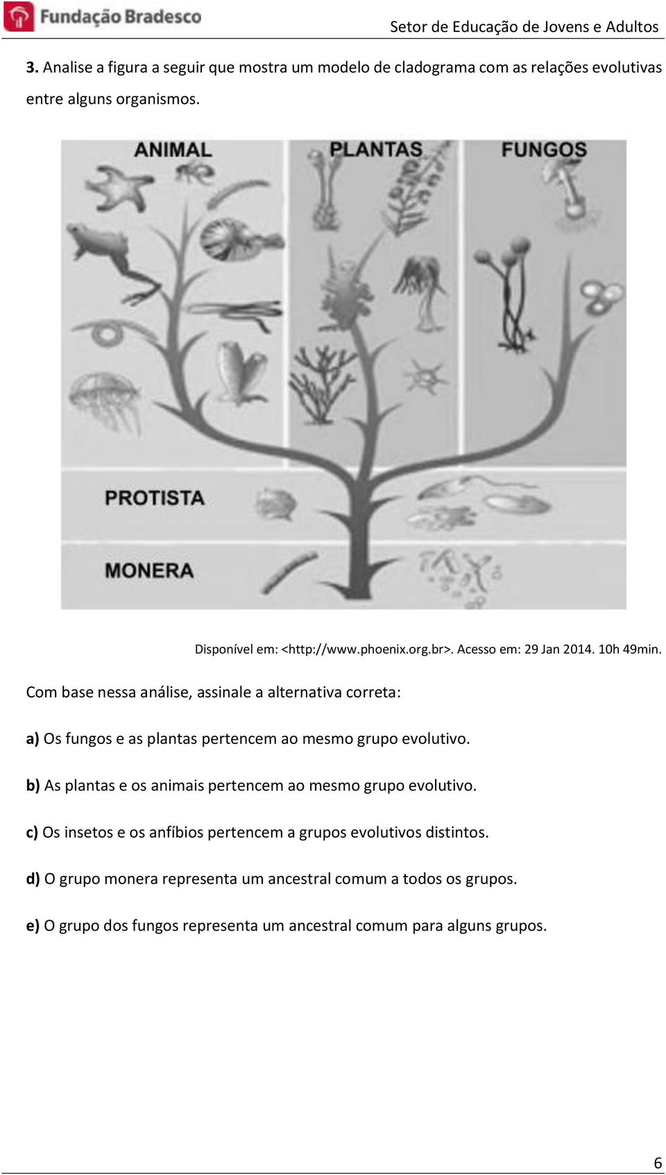 Com base nessa análise, assinale a alternativa correta: a) Os fungos e as plantas pertencem ao mesmo grupo evolutivo.