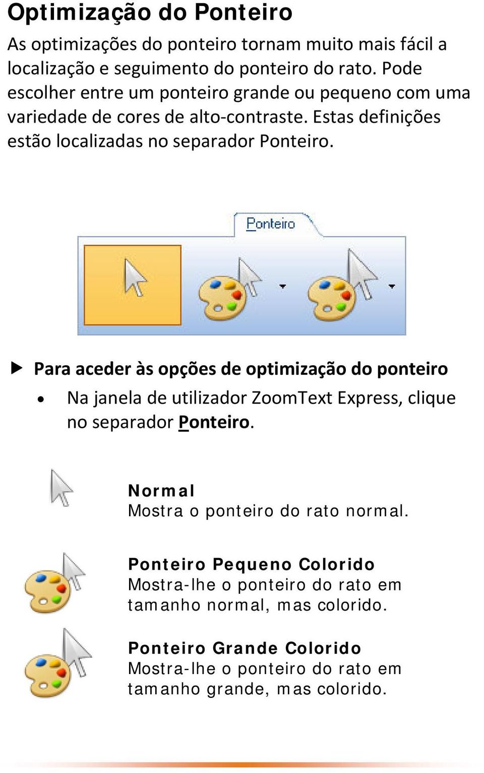 Para aceder às opções de optimização do ponteiro Na janela de utilizador ZoomText Express, clique no separador Ponteiro.