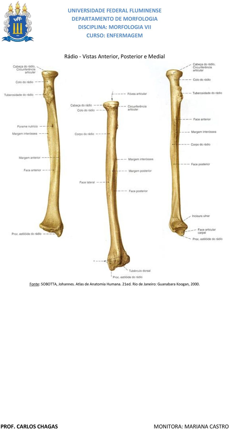 Atlas de Anatomia Humana. 21ed.