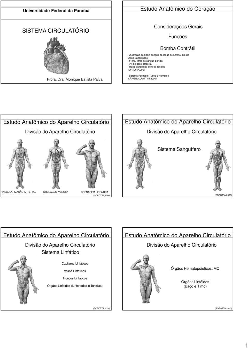 Monique Batista Paiva - Sistema Fechado: Tubos e Humores (DÂNGELO,FATTINI,2000) Estudo Anatômico do Aparelho Circulatório Divisão do Aparelho Circulatório Estudo Anatômico do Aparelho Circulatório