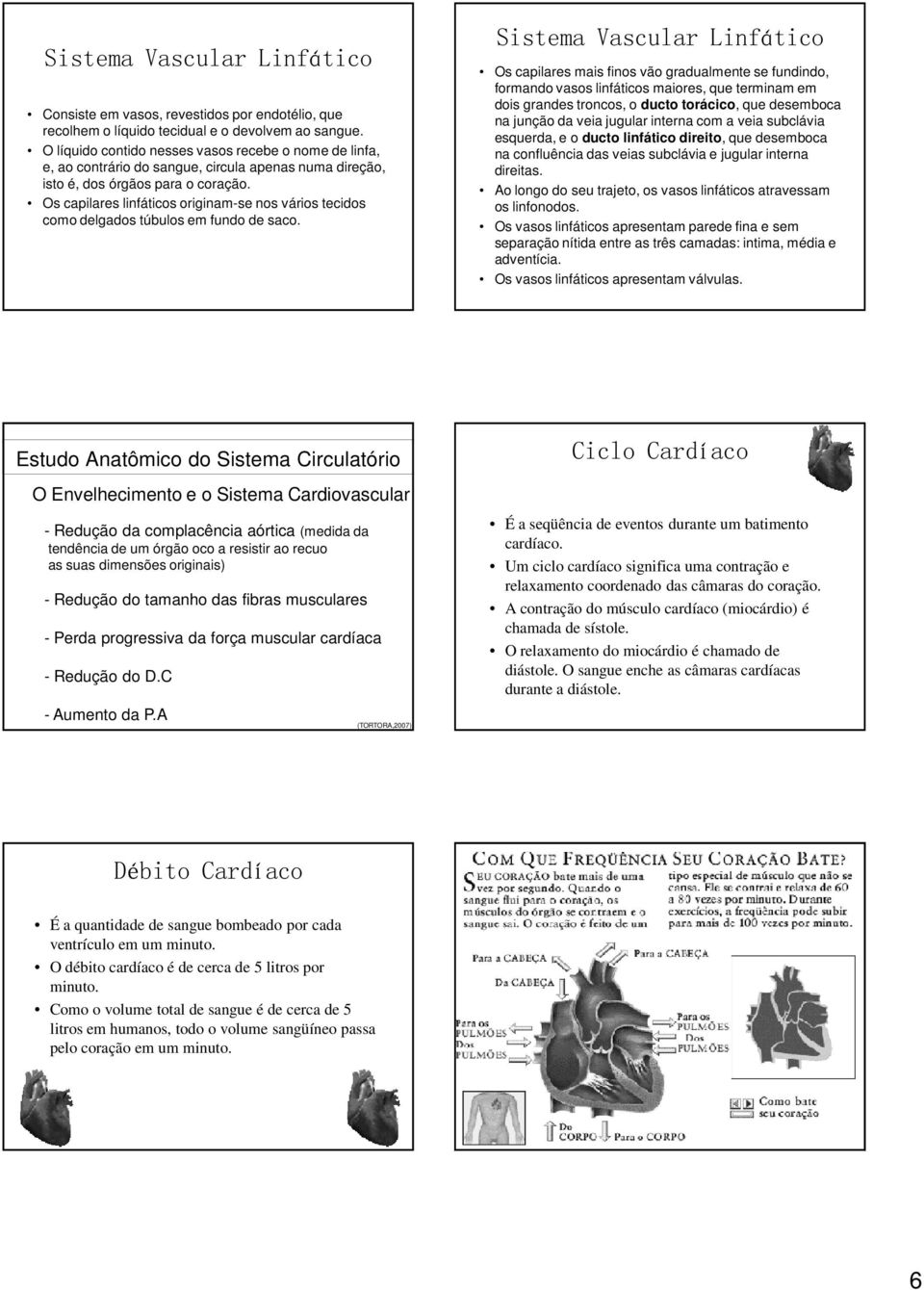 Os capilares linfáticos originam-se nos vários tecidos como delgados túbulos em fundo de saco.