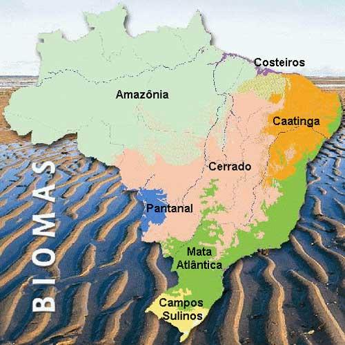 Ampliação da área de atuação Caatinga/Semiárido 22 milhões de habitantes; 1.