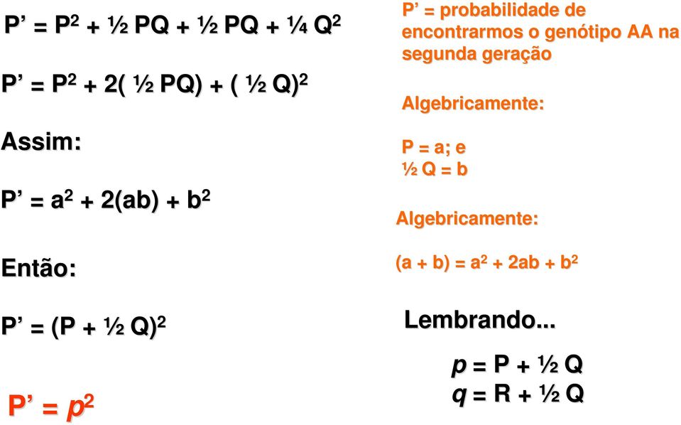Algebricamente: P = a; e ½ Q = b Q = b P = a 2 + 2(ab) + b 2 Algebricamente: