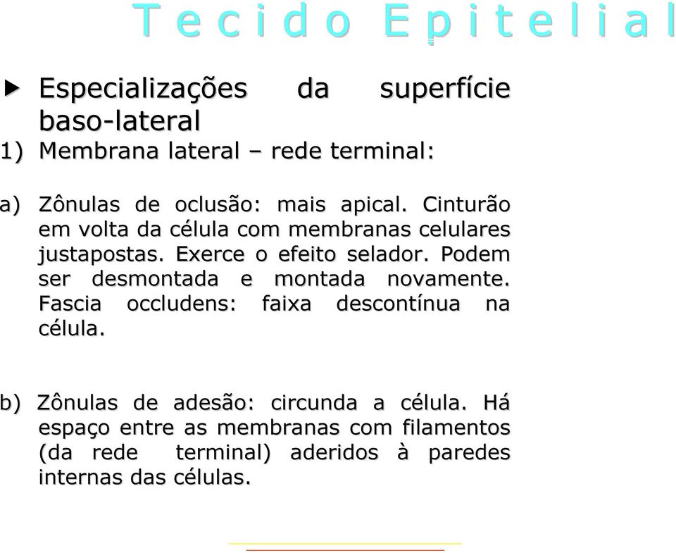 Podem ser desmontada e montada novamente. Fascia occludens: faixa descontínua nua na célula.