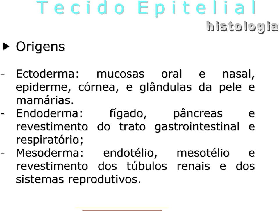 - Endoderma: fígado, f pâncreas p e revestimento do trato