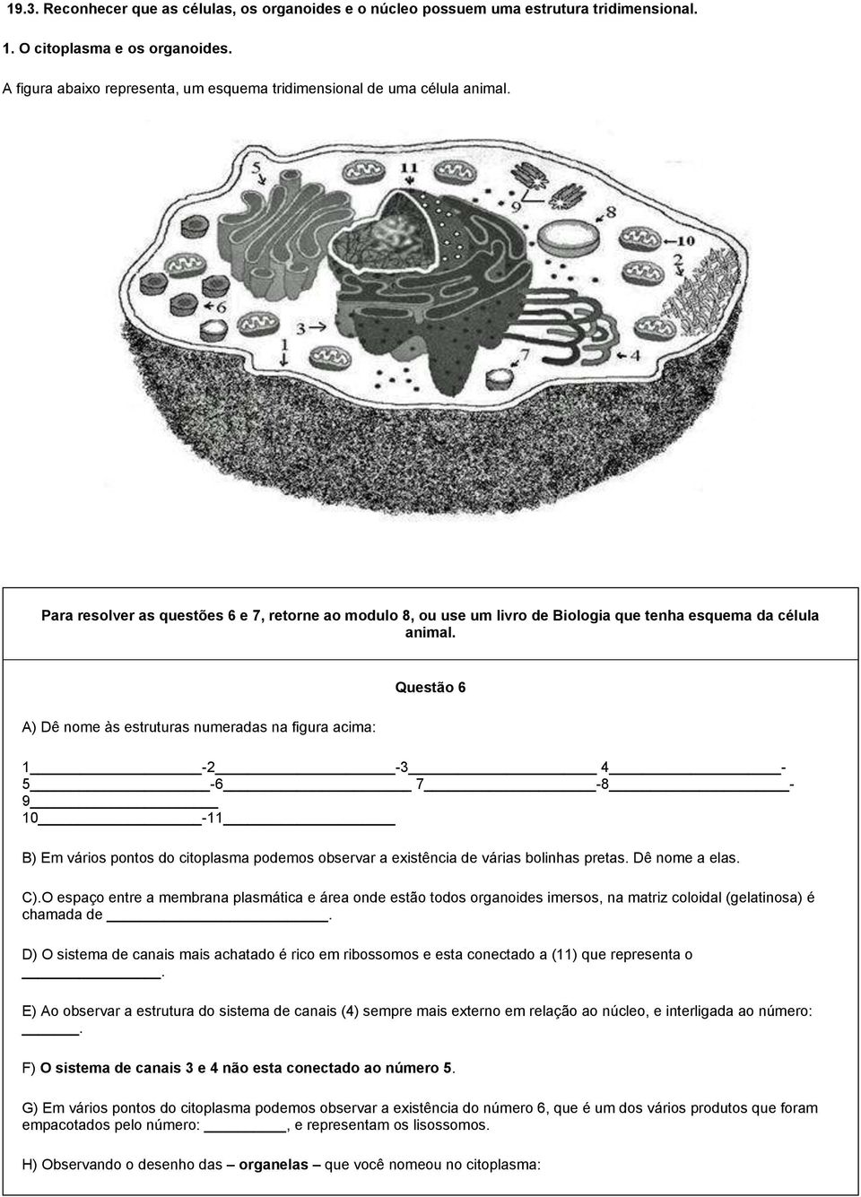 A) Dê nome às estruturas numeradas na figura acima: Questão 6 1-2 -3 4-5 -6 7-8 - 9 10-11 B) Em vários pontos do citoplasma podemos observar a existência de várias bolinhas pretas. Dê nome a elas. C).