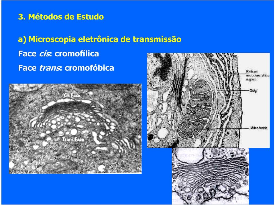 transmissão Face cis: