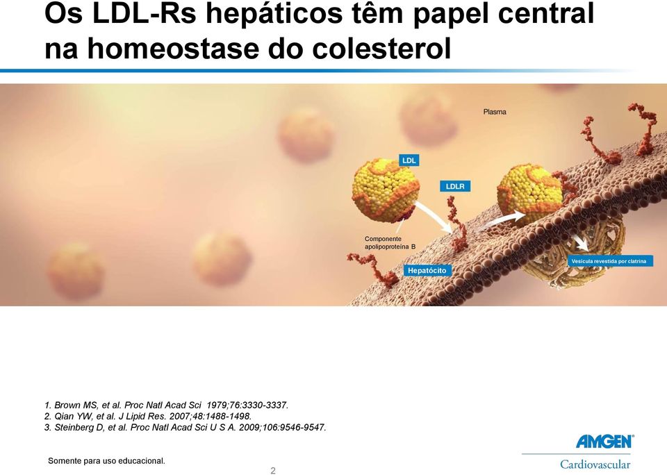 Proc Natl Acad Sci 1979;76:3330-3337. 2. Qian YW, et al. J Lipid Res.