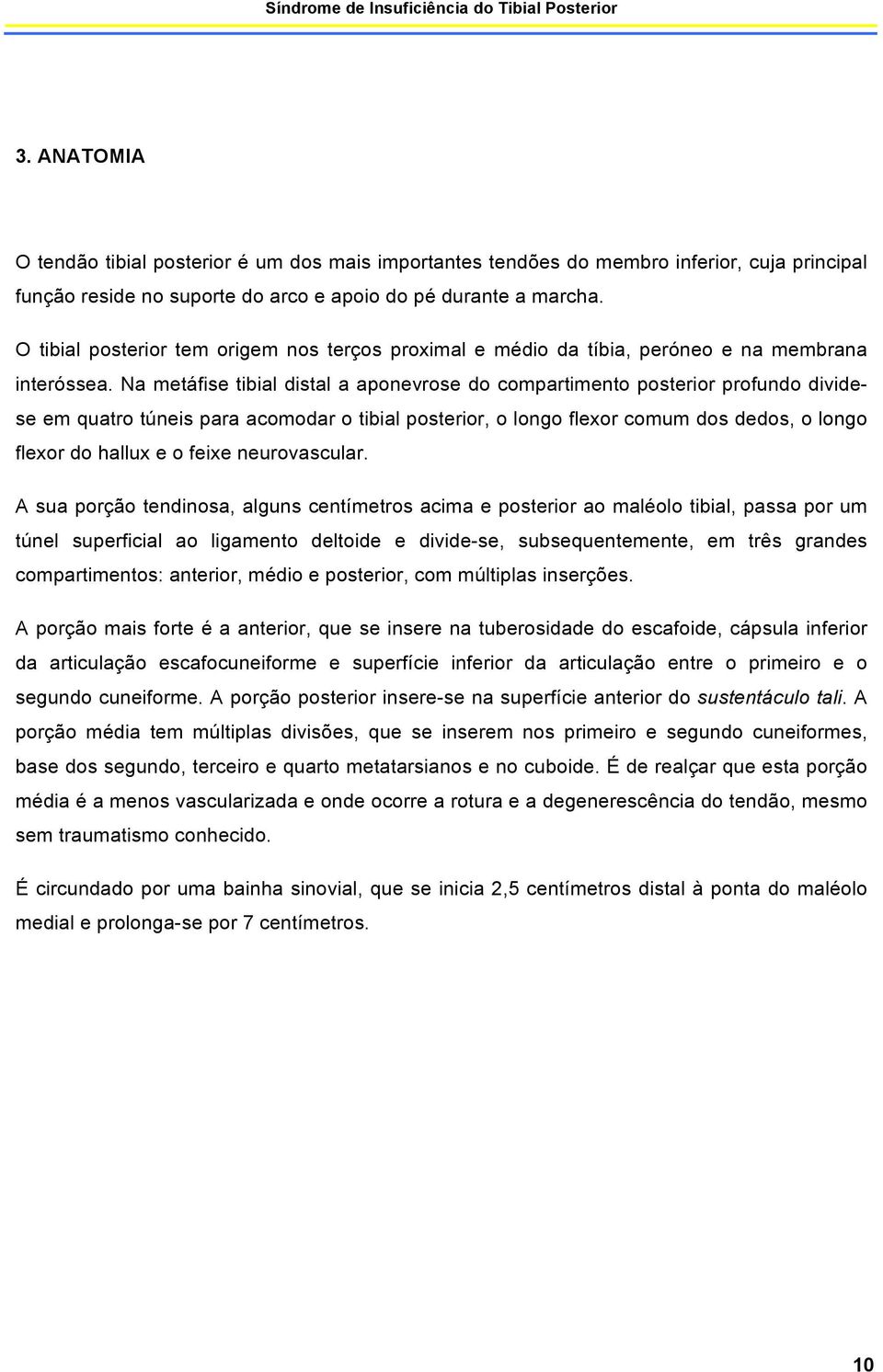 Na metáfise tibial distal a aponevrose do compartimento posterior profundo dividese em quatro túneis para acomodar o tibial posterior, o longo flexor comum dos dedos, o longo flexor do hallux e o