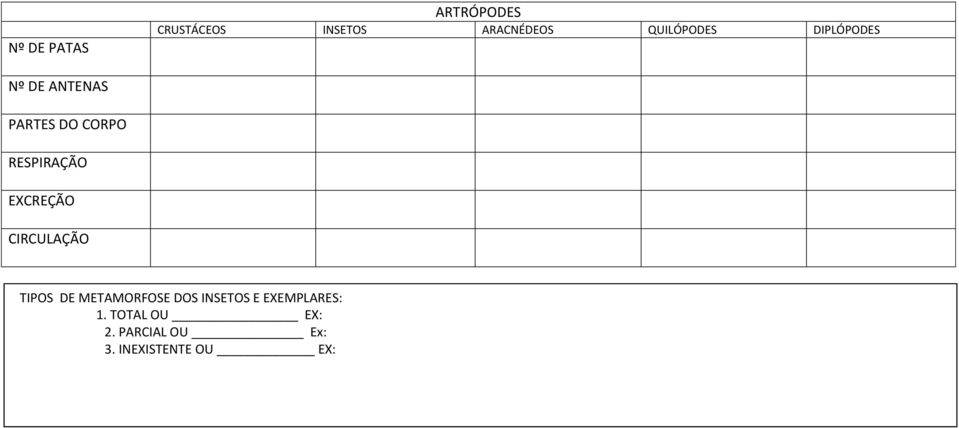 RESPIRAÇÃO EXCREÇÃO CIRCULAÇÃO TIPOS DE METAMORFOSE DOS