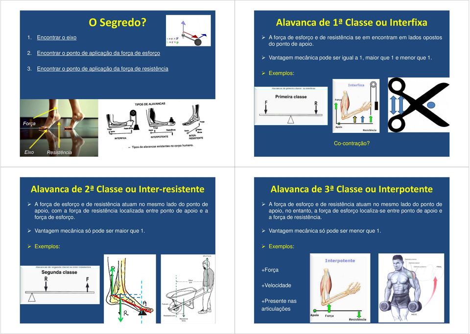 Vantagem mecânica pode ser igual a 1, maior que 1 e menor que 1. Exemplos: Co-contração?