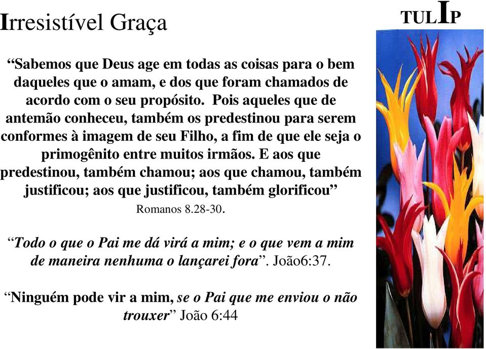 irmãos. E aos que predestinou, também chamou; aos que chamou, também justificou; aos que justificou, também glorificou Romanos 8.28-30.