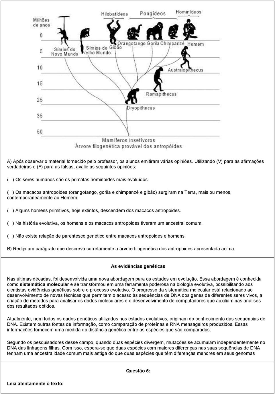 ( ) Os macacos antropoides (orangotango, gorila e chimpanzé e gibão) surgiram na Terra, mais ou menos, contemporaneamente ao Homem.