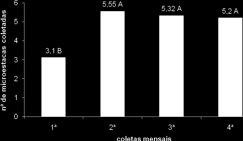 41 primeira a média de microestaca por microcepa foi de 3,1 permanecendo as seguintes com uma média de 5,3 microestacas por microcepa (Figura 12).