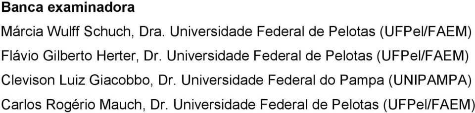 Universidade Federal de Pelotas (UFPel/FAEM) Clevison Luiz Giacobbo, Dr.