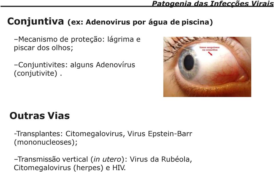 Outras Vias -Transplantes: Citomegalovirus, Virus Epstein-Barr