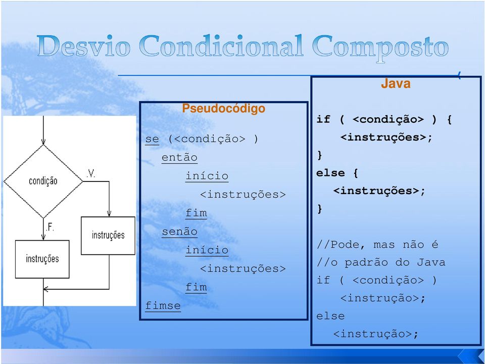 <instruções>; else { <instruções>; //Pode, mas não é //o