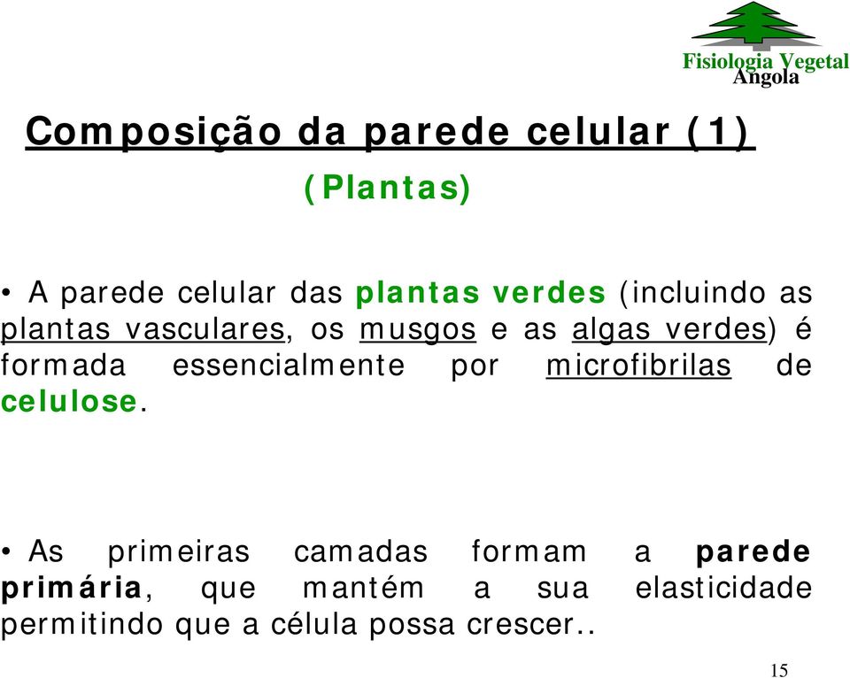 essencialmente por microfibrilas de celulose.