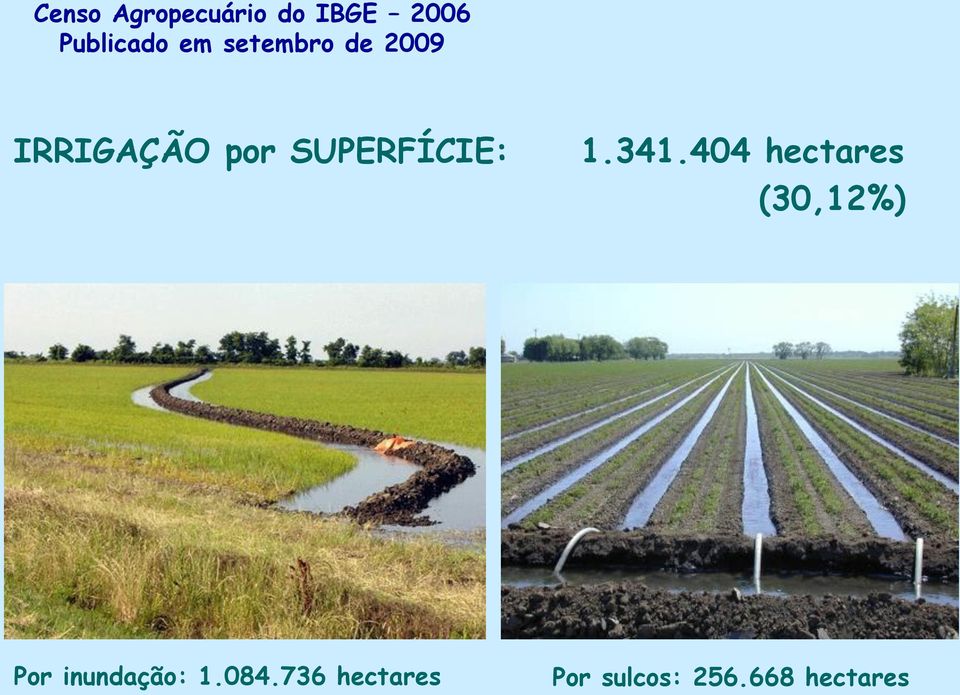 341.404 hectares (30,12%) Por inundação: 1.